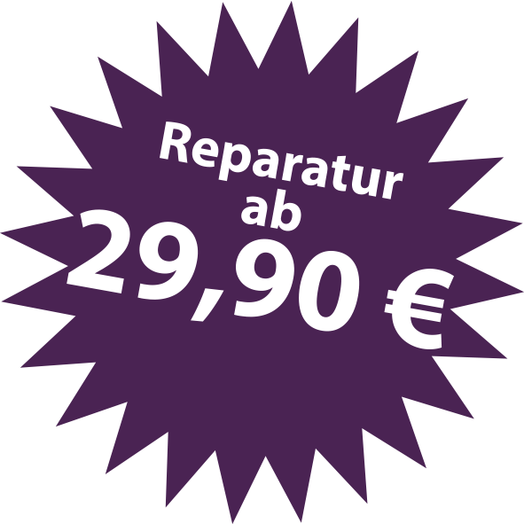 Reparatur ab 29,90 Euro